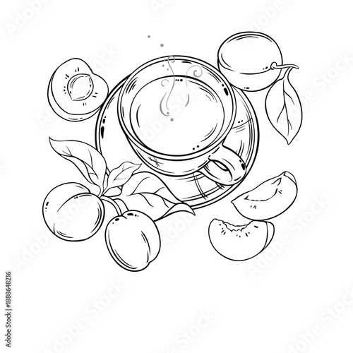 Cup of Apricot Tea aroma beverage Outline Illustration. Vector isolated for Design and Decoration for Cafeteria, Posters, Banners, Cards.