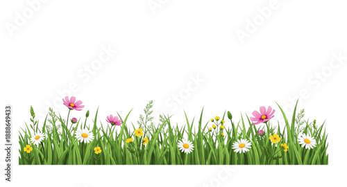 spring flowers and grass