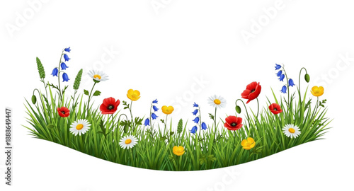 spring grass and flowers