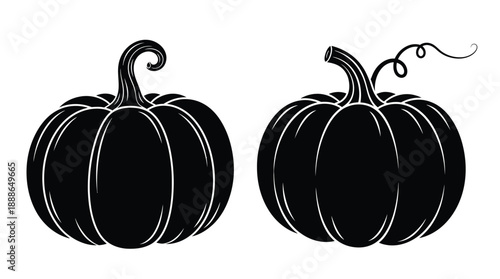 Two black pumpkins with curly stems presented as a striking silhouette