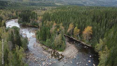 View of a forested area with a winding river surrounded by trees during autumn