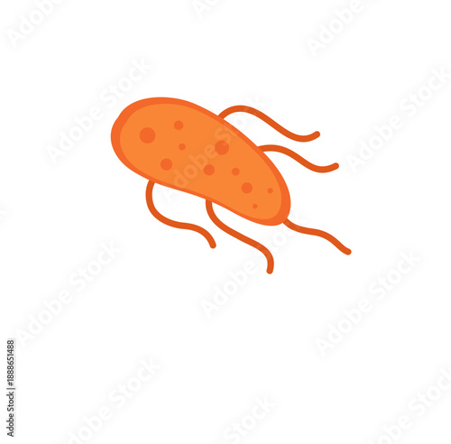 Salmonella Bacteria Vector Illustration 