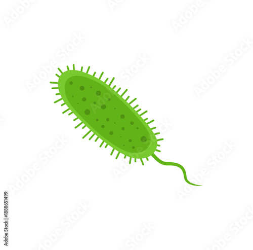 Salmonella Bacteria Vector Illustration 