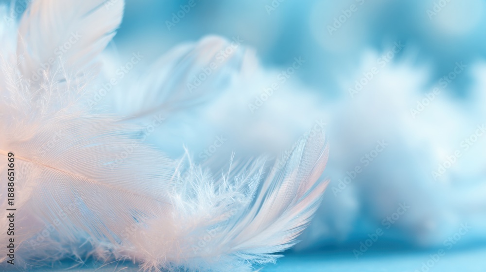 Fototapeta premium Soft white feathers scattered on a light blue surface in natural light