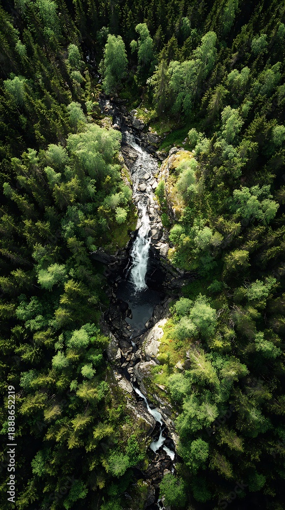Fototapeta premium Aerial view captures turbulent water cascading down a narrow channel surrounded by dense woodland