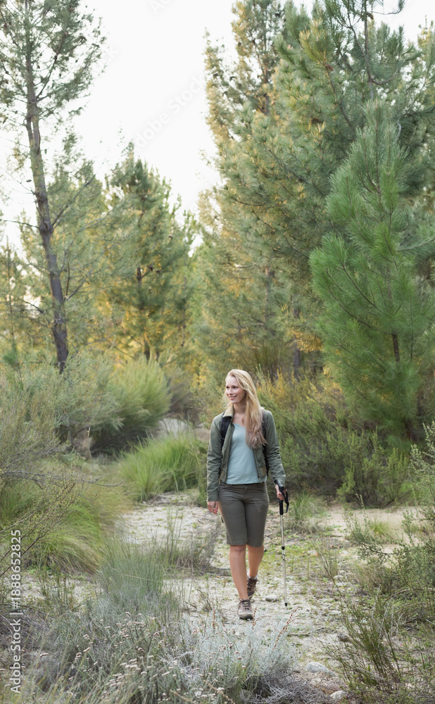 Fototapeta premium Adult woman hiking sandy trail in pine forest, holding pole, wearing hiking boots and backpack
