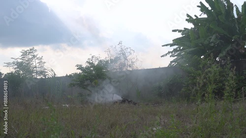 Small Trash Burning with Thick Smoke Near Plants in Rural Backyard Environment