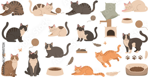 Cute cat behavior and activity vector set with sleeping, playing, grooming, scratching, toys, bowls, and cartoon feline lifestyle illustrations