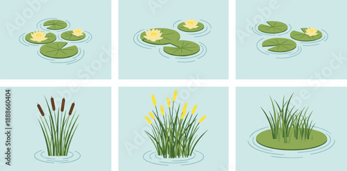 Pond aquatic plants vector set with water lilies, reeds, cattails and marsh grass