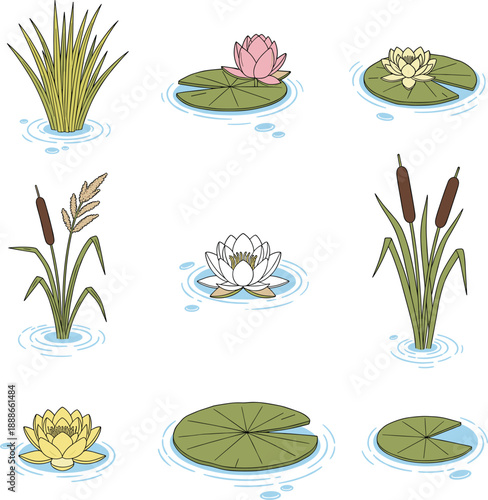 Pond plants and water lily vector set with lotus flowers, reeds and lily pads