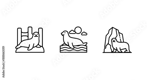 Seal icons: seals on rocks and ice floes. Marine mammals depicted in natural habitat, representing wildlife and conservation.