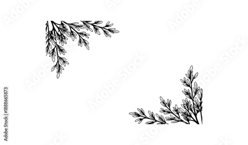 Corner branches border vector invitation card with herbal twigs and leaves for minimalist design