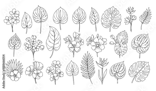 Botanical flowers vector set with 28 black outline elements for coloring, summer, and floral design