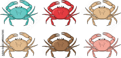 Crab vector set with colorful sea crabs in different shell colors marine animal illustration isolated