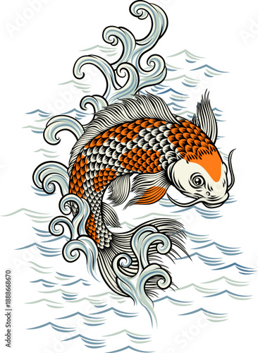 A koi carp coy fish. An original illustration in a vintage Japanese painting art style.