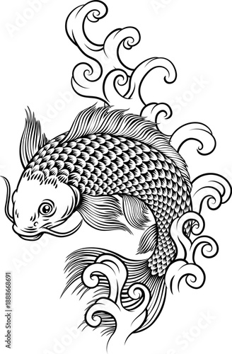 A koi carp coy fish. An original illustration in a vintage Japanese woodcut art style.