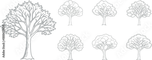 Collection of seven trees with varied leafy canopies