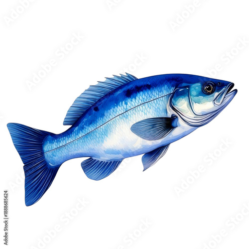 Blue fish with shiny scales and fins isolated on transparency background, vibrant aquatic life