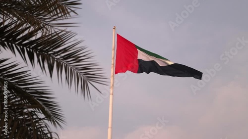 UAE flag waving in the sky next to the palm tree, national symbol of UAE