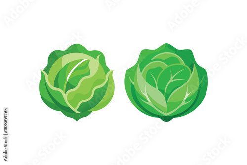 Two heads of fresh green cabbage icons for healthy nutrition and organic farming grocery store theme
