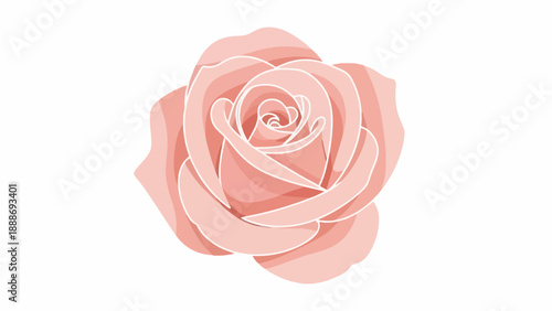 Pink rose graphic illustration on a white background with soft pastel colors and delicate petals.