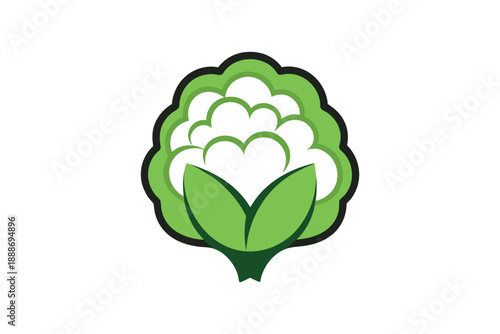 Cauliflower with green leaves and black outline on white background healthy food product organic vegetable ingredient