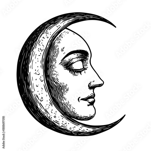 Detailed black and white engraving style crescent moon with serene human face profile side view vintage celestial illustration vector
