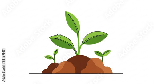 Green seedlings sprouting from brown soil with large leaves growing upwards