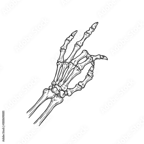Skeletal hand with bony fingers, folded in a pinch, sketch. Vector illustration. Man's hand isolated on white background. For prints, stickers and Halloween for different occasions