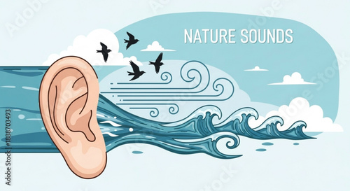 Human ear listening to ocean waves and birdsong for relaxation and calmness in nature
