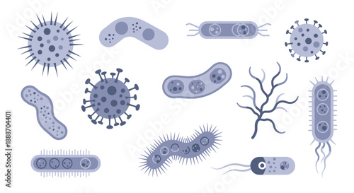 Collection of Various Bacteria and Virus Microorganisms, illustrating diverse shapes and types for scientific study and health education on an isolated white background.