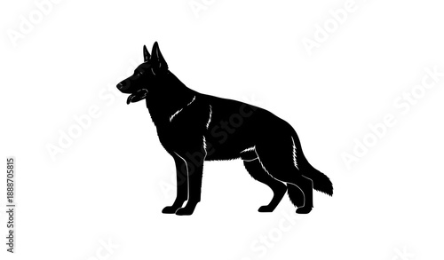 German shepherd dog standing silhouette vector isolated on white background