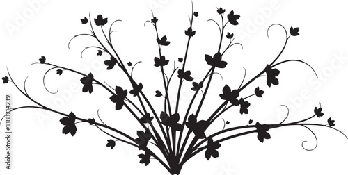 Black Silhouette of a Floral Tree Branch with Leaves