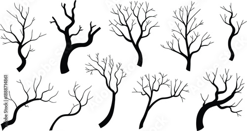 Set of Dead Tree Silhouettes, Vector Collection of Bare Leafless Branches and Trunks Isolated on illustration