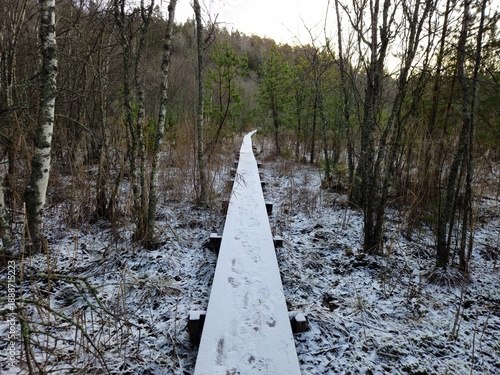 A wooden walkway in the middle of the forest after a snowfall in Northern Europe.
