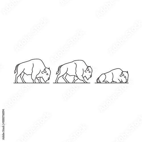  Bison motion sequence line drawing