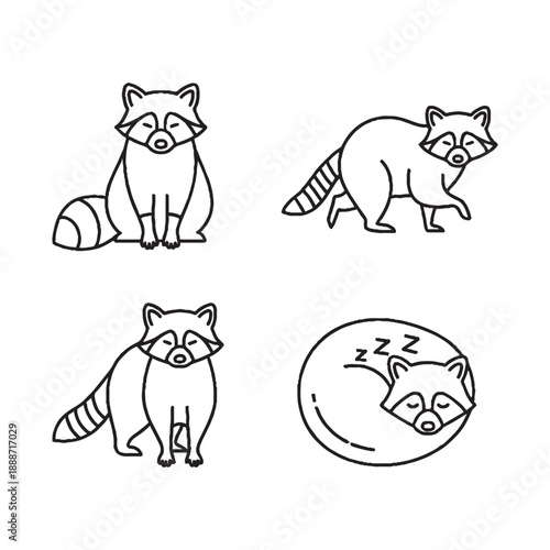  Raccoons in various poses sleeping and awake