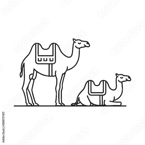  Camels standing and kneeling with saddles