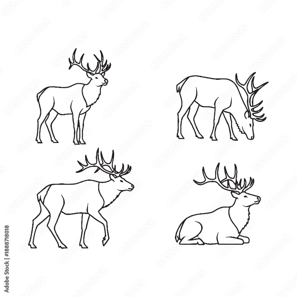 Fototapeta premium Deer in various poses line art illustrations