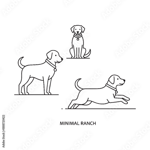  Three dogs in minimal ranch line art illustration