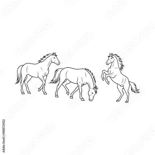  Horses walking and rearing up in line