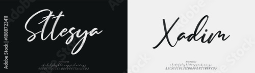 Sttesya Xadim, Script luxury wedding alphabet letters font with tails. Typography elegant classic serif fonts and number decorative vintage retro concept for logo branding. vector illustration
