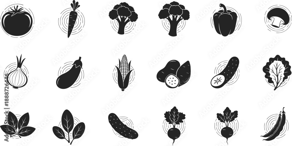 Fototapeta premium Adobe Illustrator Artwork