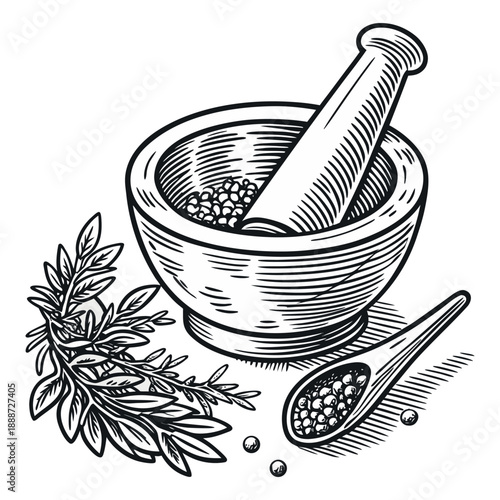 Vintage Hand Engraved Illustration of Mortar and Pestle with Medicinal Herbs