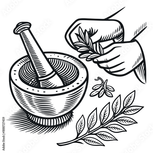 Vintage Hand Engraved Illustration of Mortar and Pestle with Medicinal Herbs