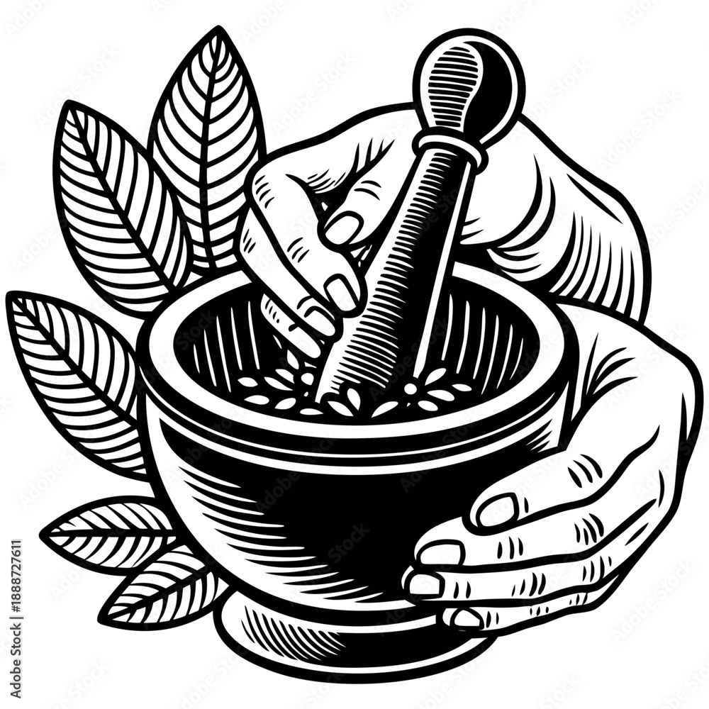 Fototapeta premium Vintage Hand Engraved Illustration of Mortar and Pestle with Medicinal Herbs