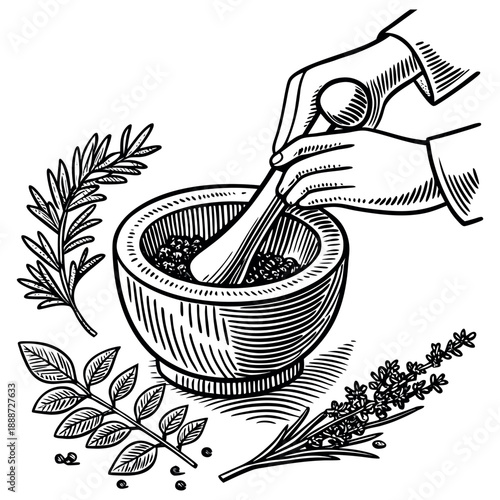 Vintage Hand Engraved Illustration of Mortar and Pestle with Medicinal Herbs