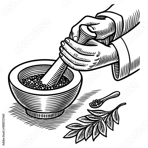 Vintage Hand Engraved Illustration of Mortar and Pestle with Medicinal Herbs
