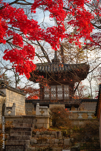 korean temple in autumn