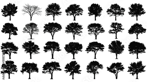 Collection of distinct tree silhouettes illustrating various deciduous and bare natural forms